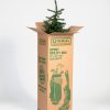 Sport Utility Box - Image 2